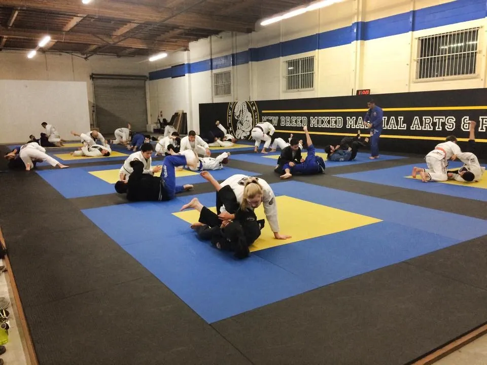 Martial arts students training