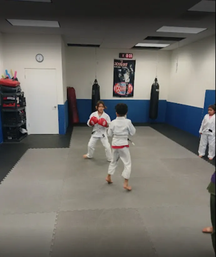 Roll Dogs Jiu-Jitsu photo (Gym's own website)